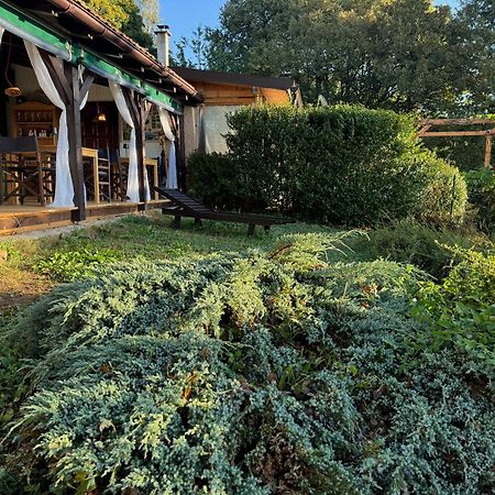 Guest House Lagotto's Peak Radatovici Extérieur photo